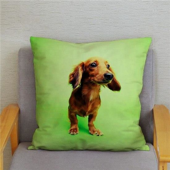 Coussin 40x40 cm - housse + garnissage - Chien Staff - Yonacrea