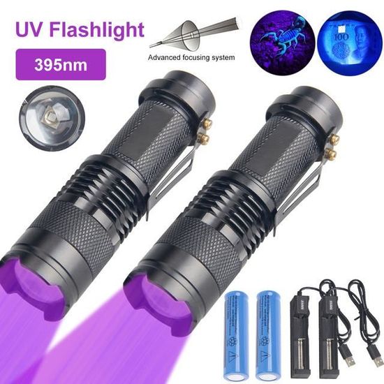 Lampe Torche UV LED 395 Nm - Pour Détection De Faux Billets, Pierres, Fluo - Argentée