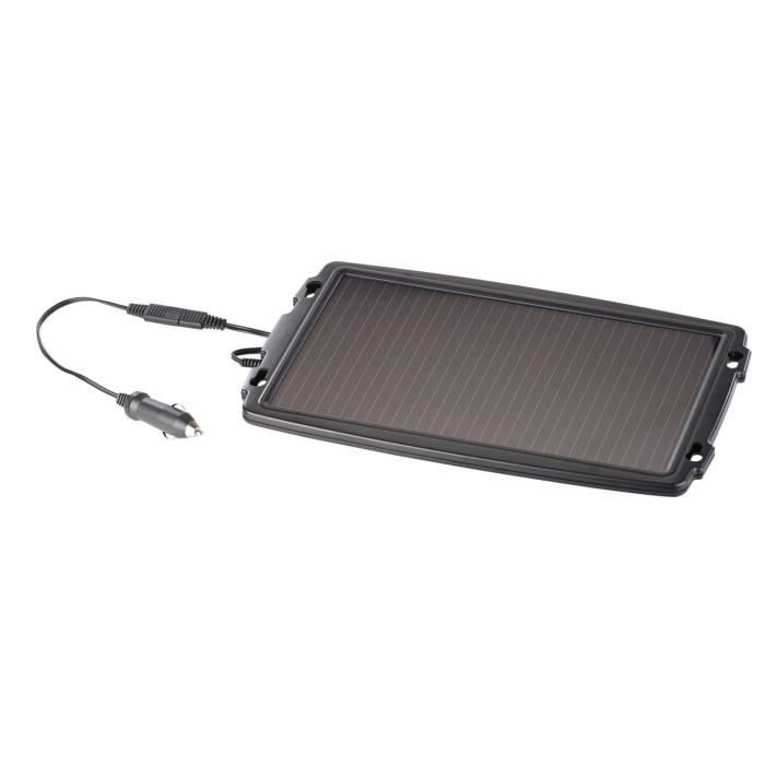 Chargeur solaire 12 V - 2,4 W pour batterie de voiture