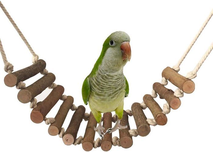 Meilleurs prix pour Échelle d'escalade en bois, grande balançoire, jouet pour perroquet, cacatoès gris d'Afrique, aras, perruches, calopsittes