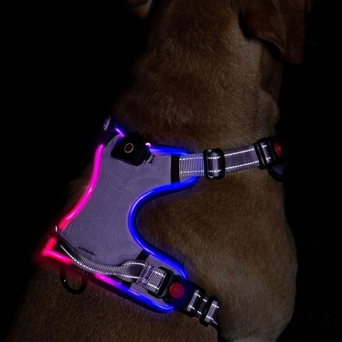 Harnais lumineux pour chien - OKZ® - LED intégrées - Modes clignotement rapide/lent/lumière fixe - Rechargeable USB