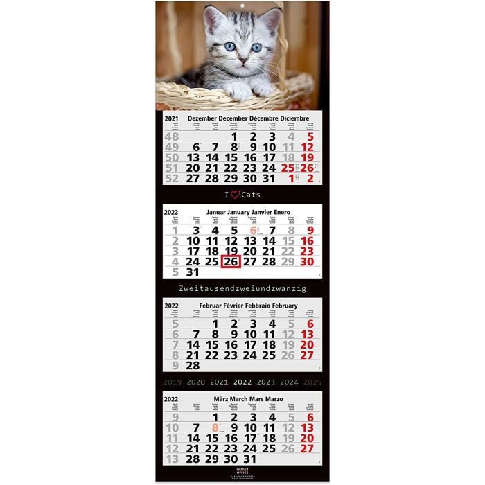 Le Calendrier 2023 Du Chat Acariâtre Le Retour Calendrier Mural 2021 4 Mois - Motif Chats - Grand Format - 33 X 90 Cm -  Avec Joli Motif De Chat.[A498] - Cdiscount Beaux-Arts Et Loisirs Créatifs
