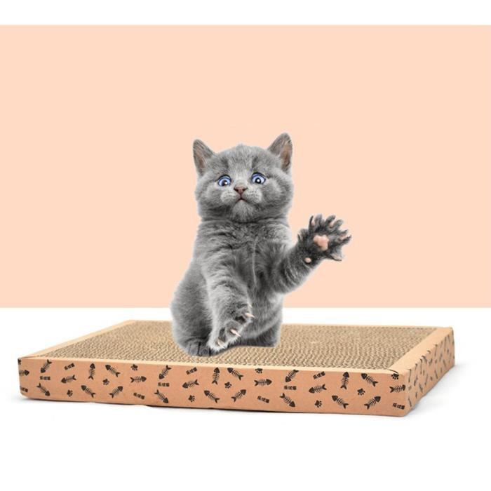 Chat Grattoir Scratcher Chaton Jouet Griffoir Poste Avec Cataire 10 Cdiscount Animalerie Chat Grattoir Scratcher Chaton Jouet Griffoir Poste Avec Cataire 10 Cdiscount Animalerie