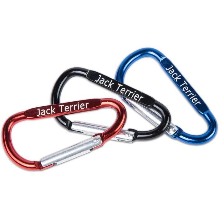 Nom Personnalisé Verrouillage Mousqueton En Forme De D Porte-clés Aluminium D-Ring Mousqueton