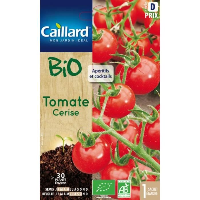 Man Friday 20 Graines Violet Tomate cerise fruits biologiques légumes usine