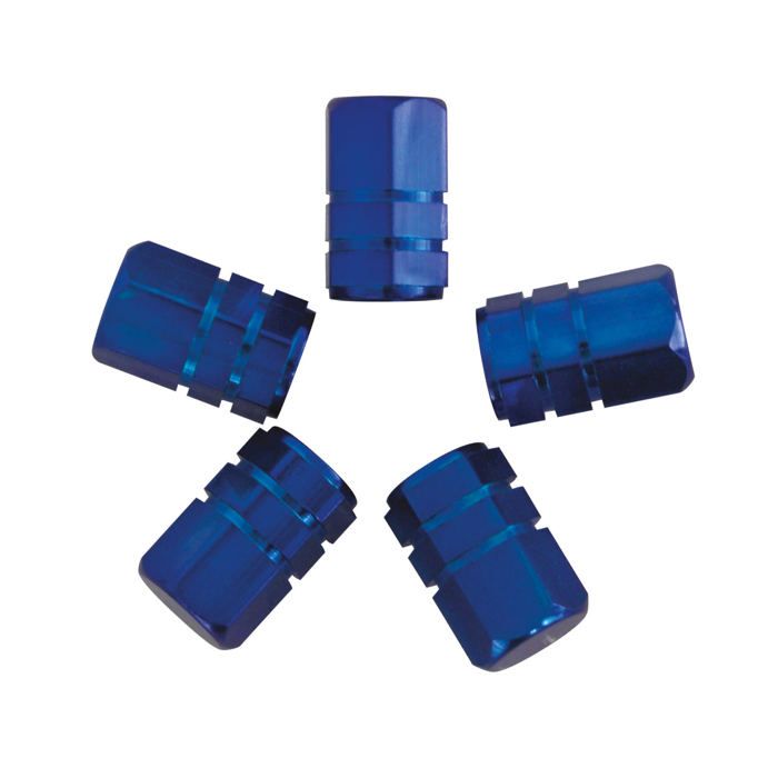 Blocs De Refroidissement Carpoint – Lot De 2, 15x8x4 Cm, 200 G Chacun, Pour Glacière Et Sac Isotherme