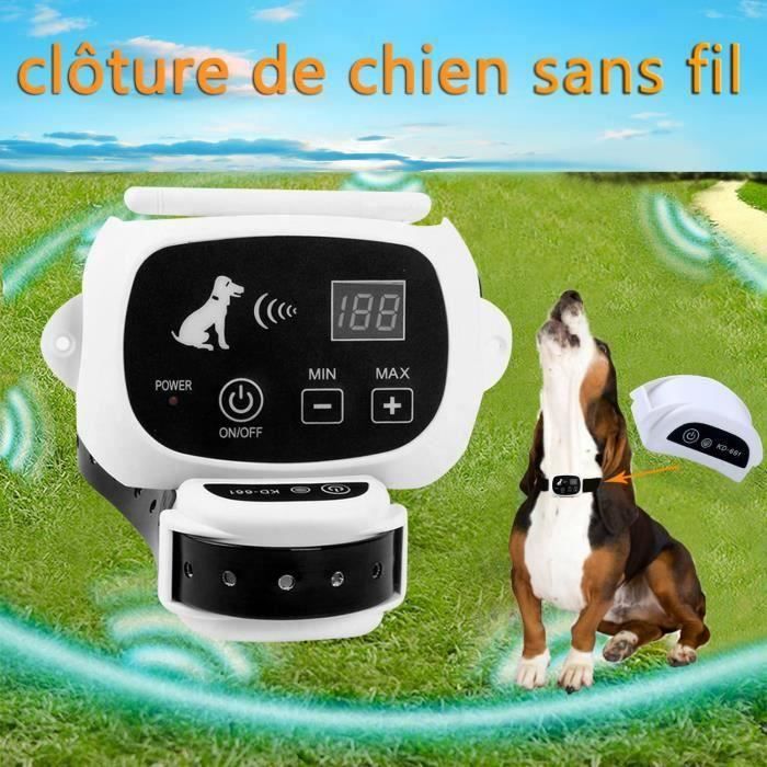 Cheap-clôture de chien sans fil émetteur à télécommande de rayon de 500M + récepteur imperméable électrique de formation