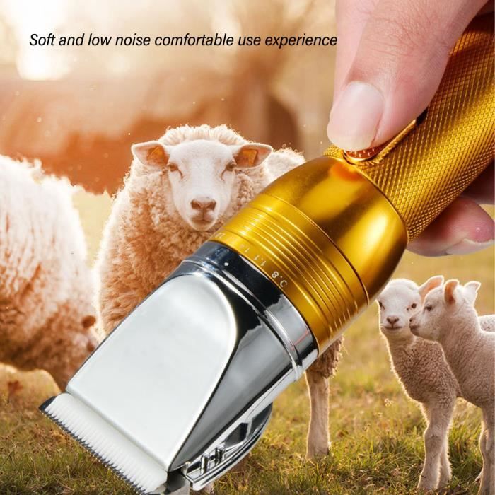 Meilleurs prix pour Tondeuse Mouton Chèvres Électrique Cisaillement 100‑240V tout neuf