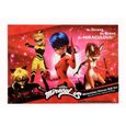 Pack de 4 poupées Miraculous 26cm - Ladybug, Chat Noir, Rena Rouge & Queen Bee - BANDAI-1