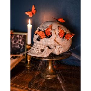 Dark Fantasy : Atrocity Lampe Crâne Et Colonne Vertébrale En Os Naturel Précommande - France