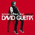 Nothing but the beat by David Guetta-0