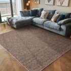 CARPETTEX Tapis poil court en tissu plat tapis boucle mélangée facile entretenir Marron 240 x 340 cm