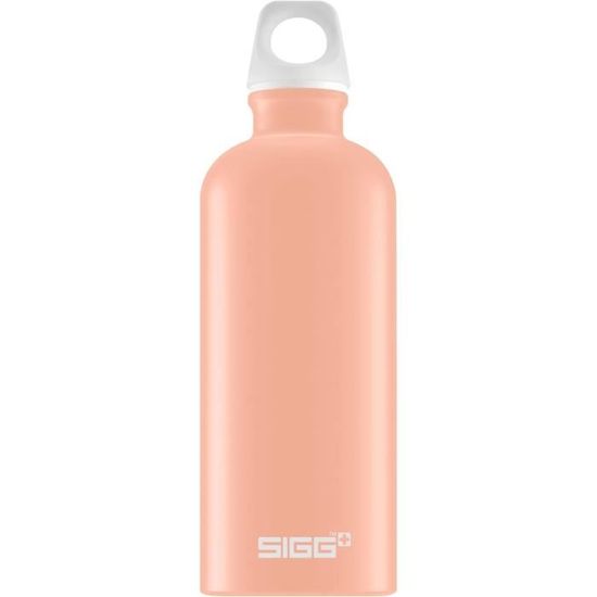 Gourde Aluminium SIGG Traveller 1L – Noire, étanche, Unisexe, état Correct