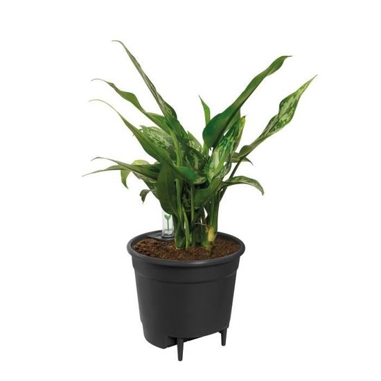 Elho Self-watering Insert Pot à fleurs 44 - Noir - Ø 43 x H 39 cm - intérieur;accessoires - 100% recyclé