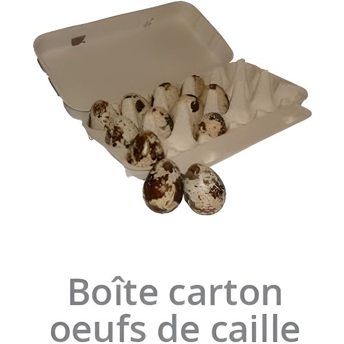Lot de 20 Boîtes pour les oeufs cailles en carton