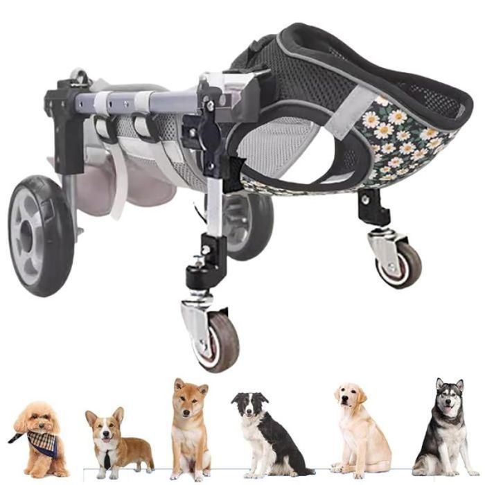 Fauteuil roulant réglable à 4 roues avant et arrière pour chiens de petite moyenne et grande taille pour blessures paralysées-XS