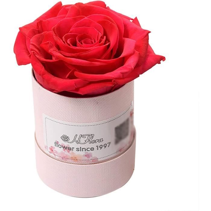 Mini boîte cadeau romantique rose éternelle préservée véritable rose  éternelle, pour petite amie-maman-fille amour amour fleu[776] - Cdiscount  Maison