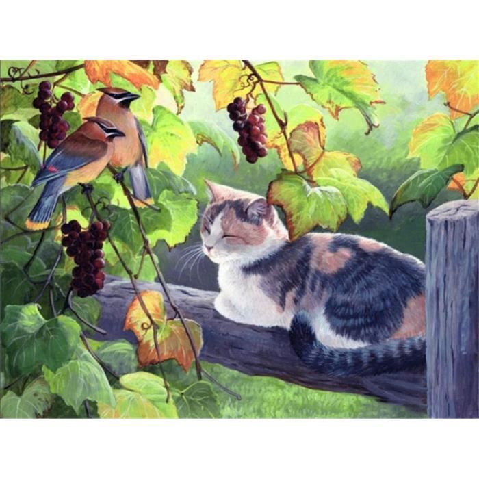 Kit Diamant Peinture 5D - Chat 40x50 Cm, Broderie Diamant DIY Adultes, Décoration Mural