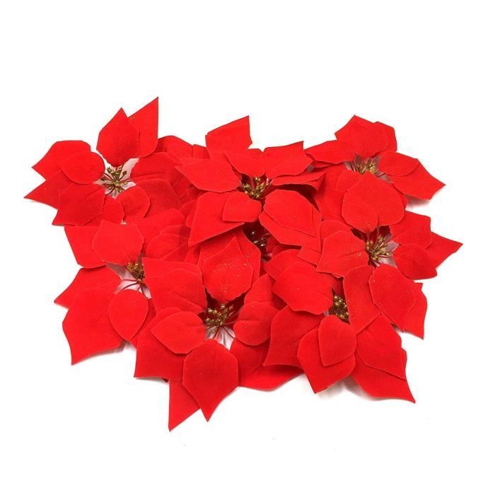 Poinsetta D/écorations de No/ël