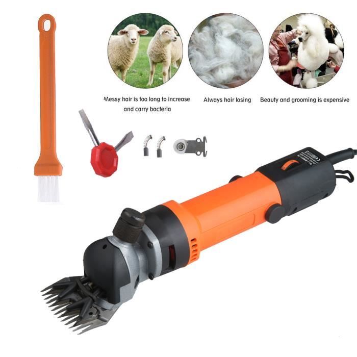 Kit De Tondeuse à Sabots Professionnel Pour Chèvres, Cochons, Animaux De Ferme - 8 Pièces - Neuf