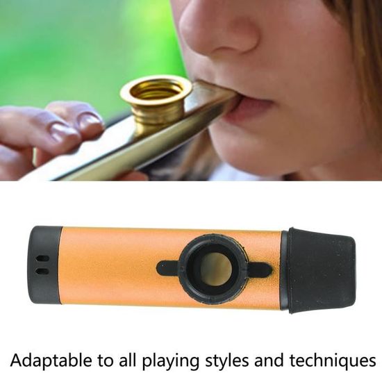 Pwshymi Kazoo professionnel Kazoo Instrument de musique professionnel en  aluminium à tonalité réglable avec instruments pour
