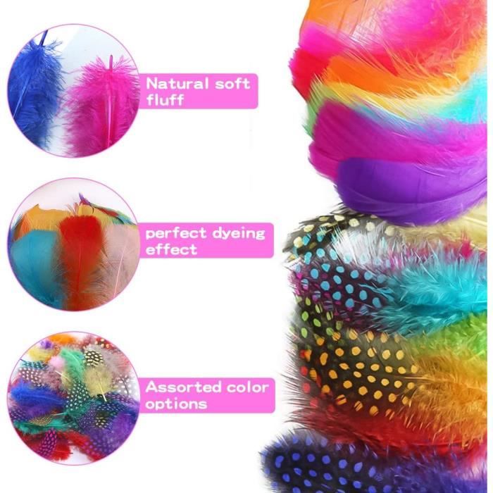 300 Pièces Plumes Naturelles Multicolores 8-12 Cm - Plumes D'Oie Pour Bricolage, Attrape-Rêves, Costumes, Décor Mariage, Loisirs Créatifs