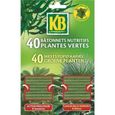 Bâtonnets nutritifs plantes vertes - KB - Action prolongée 8 semaines - NPK 10-7-9 + 2% mgo-0