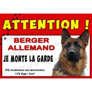 Chien Berger Allemand Vivant Achat Vente Pas Cher Chien Berger Allemand Vivant Achat Vente Pas Cher