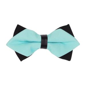 Noeud Papillon Bleu canard Double