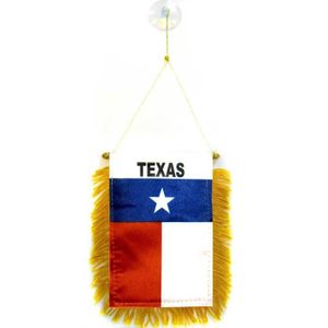 GUIRLANDE NON LUMINEUSE Fanion Texas 15x10cm - texan - Etat américain - US