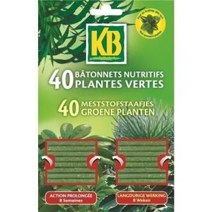 ENGRAIS Bâtonnets nutritifs plantes vertes - KB - Action prolongée 8 semaines - NPK 10-7-9 + 2% mgo