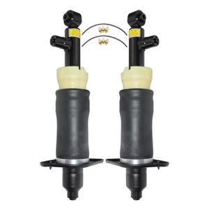 Haskyy Kit Compresseur Ressort Amortisseur pour Voiture Griffes 300mm I Port/ée 30 cm I pour Abaissement de Voitures Amortisseur de Chocs Compresseur de Montage Accessoires Automobile Outils Voiture