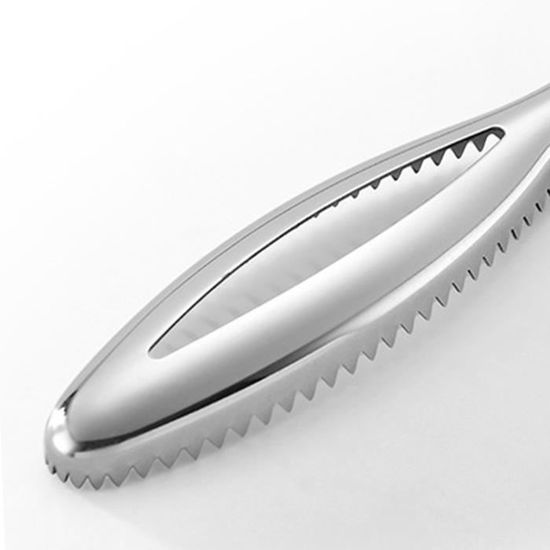 SUCBrosse de nettoyage d’écailles de poisson Dissolvant D