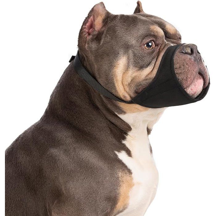 Muselière pour Chiens pour Pitbull Rottweilers American Bully Bulldog Boxers de Taille Moyenne et Grande à museau Court X MUSELIERE