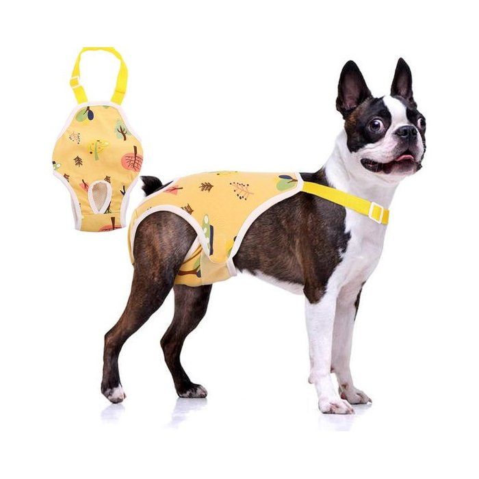 Culotte lavable pour chien - 1 pièce - taille S et M - pour protéger lenvironnement pendant les chaleurs ou les petites fuites