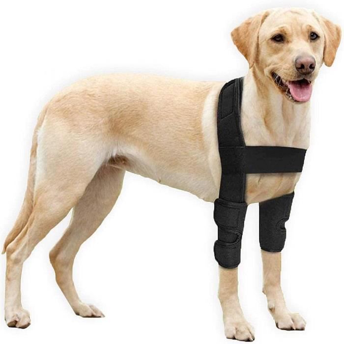 Meilleurs prix pour Coudière pour chien - Coussinets de protection pour coude et épaules canins - Hygrome du coude et de dysplasie, arthrose,