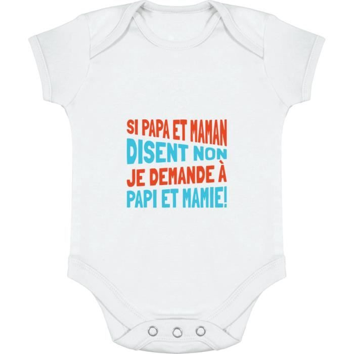 Body Bebe Cadeau Imprime En France 100 Coton Je Demande A Papi Et Mamie White Cdiscount Pret A Porter