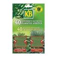 Bâtonnets nutritifs plantes vertes - KB - Action prolongée 8 semaines - NPK 10-7-9 + 2% mgo-1