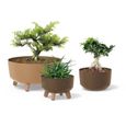 Pot à fleurs Gracia Low Eco Wood DGRL400LW-4625W Prosperplast - Couleur café ECO 14,3L-1