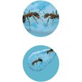 Jeu éducatif Mini monde des fourmis - BUKI FRANCE - Vivarium pour observer la vie des fourmis-2