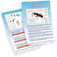 Jeu éducatif Mini monde des fourmis - BUKI FRANCE - Vivarium pour observer la vie des fourmis-3