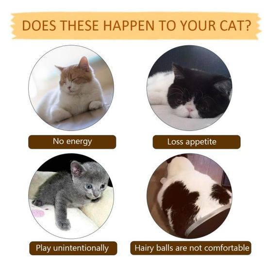 Electrique Usb Charge Simulation Poisson Chat Jouet Drole Interactif Animaux Chats Cataire Jouets Pour Mordre Macher Cdiscount