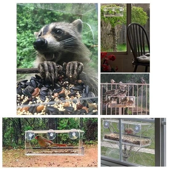 Avec trous de drainage Plateau coulissant amovible pour la maison et le jardin Transparent Mangeoire à suspendre WERTAZ Mangeoire à oiseaux avec fenêtre