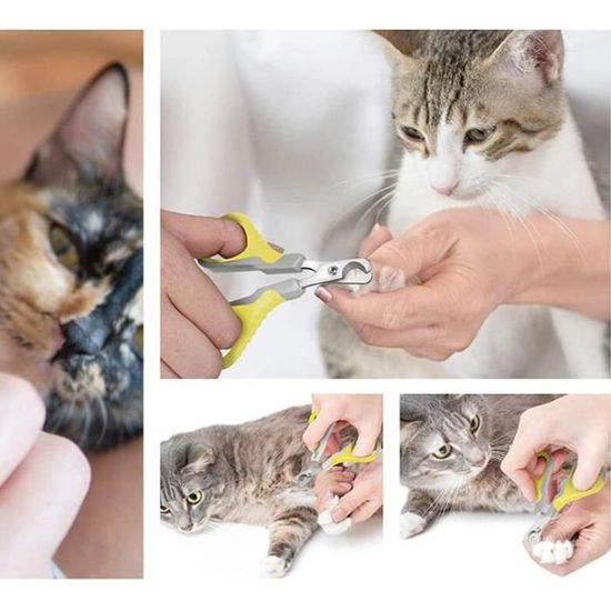 Coupe Griffes Chat Professionnels Coupe Ongle Pour Chiot Lapin Oiseau Et Petits Animaux Ciseaux A Ongles Courbe En Acier Inoxydable Cdiscount