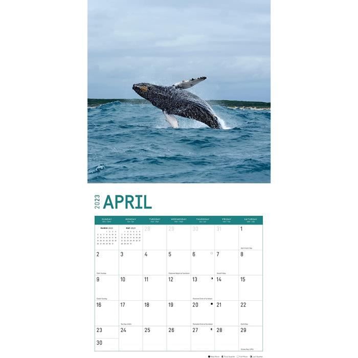 Calendrier mural animaux - Cdiscount