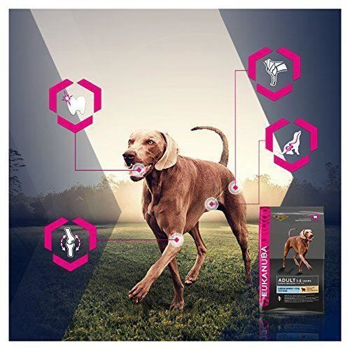 Iams EUKANUBA Chien Adult Agneau et Riz Grande Race 12 Kg Cdiscount