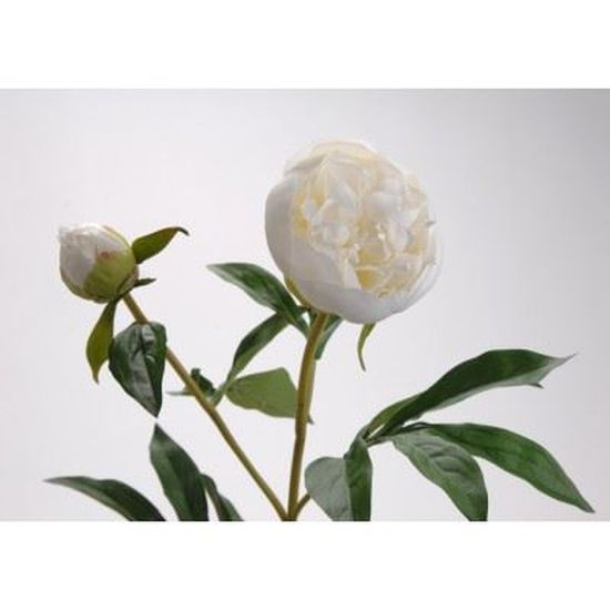Fleur pivoine blanche artificielle - Cdiscount Maison