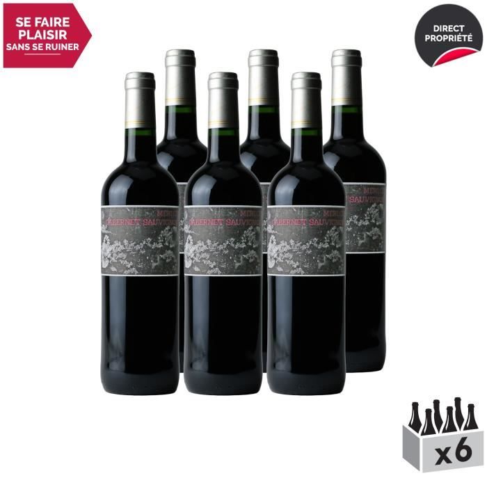 Merlot et Cabernet Sauvignon Rouge - Lot de 6x75cl - Les Frères Moine - Vin Rouge du Sud-Ouest - Appellation VDF Vin de France - Ori