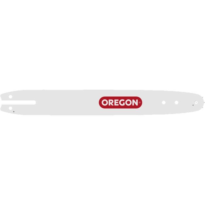 Guide Oregon Double Guard (10 ) 25 cm