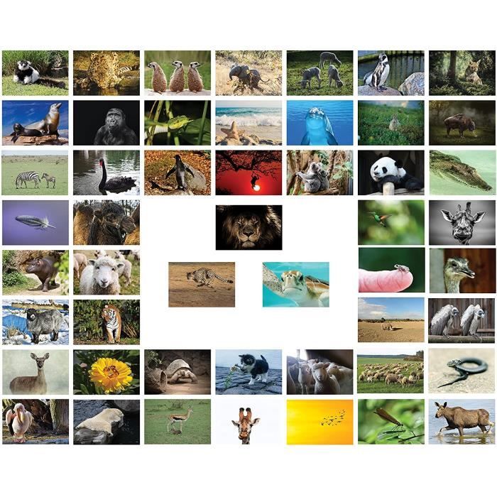 Ensemble de cartes postales avec animaux - ensemble de 20 cartes différentes idéales pour collectionneurs ou adeptes du postcrossing 